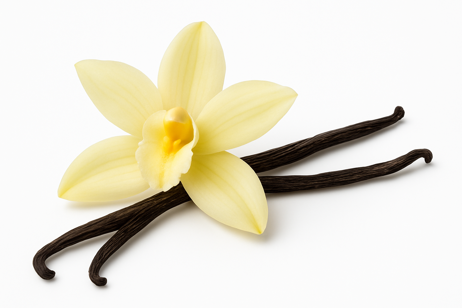 Vanillenblüte und Vanille auf weißem Hintergrund