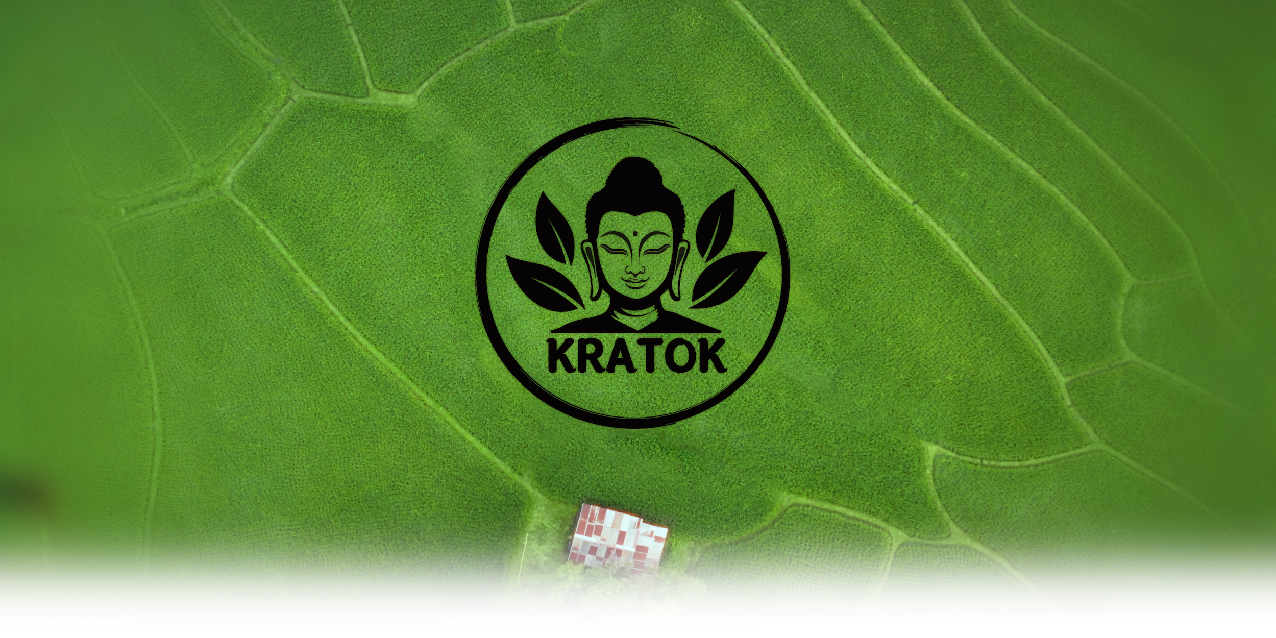 Großes grünes Feld aus der Vogelperspektive, darauf das Kratok Logo.